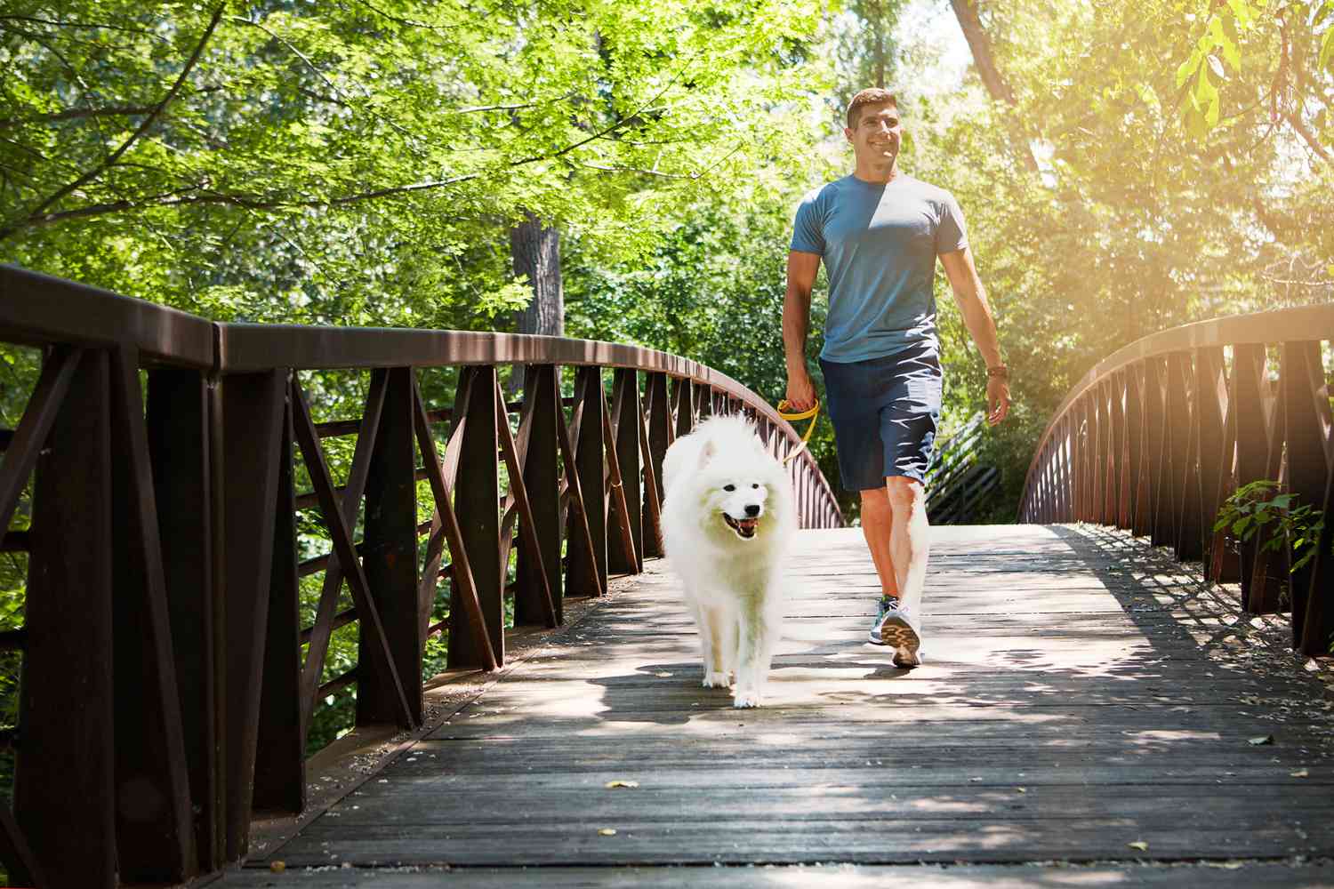 Wandelingen van 15 minuten voor gewichtsverlies en gezondheid