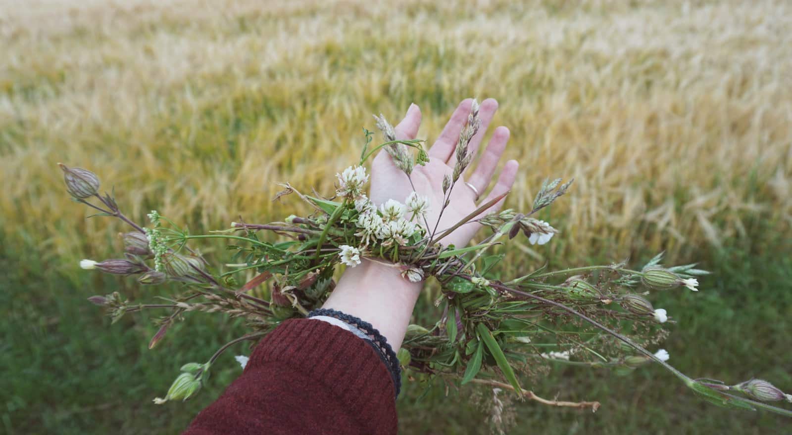 Het wiel van het jaar – De 8 wicca-sabbatten uitgelegd